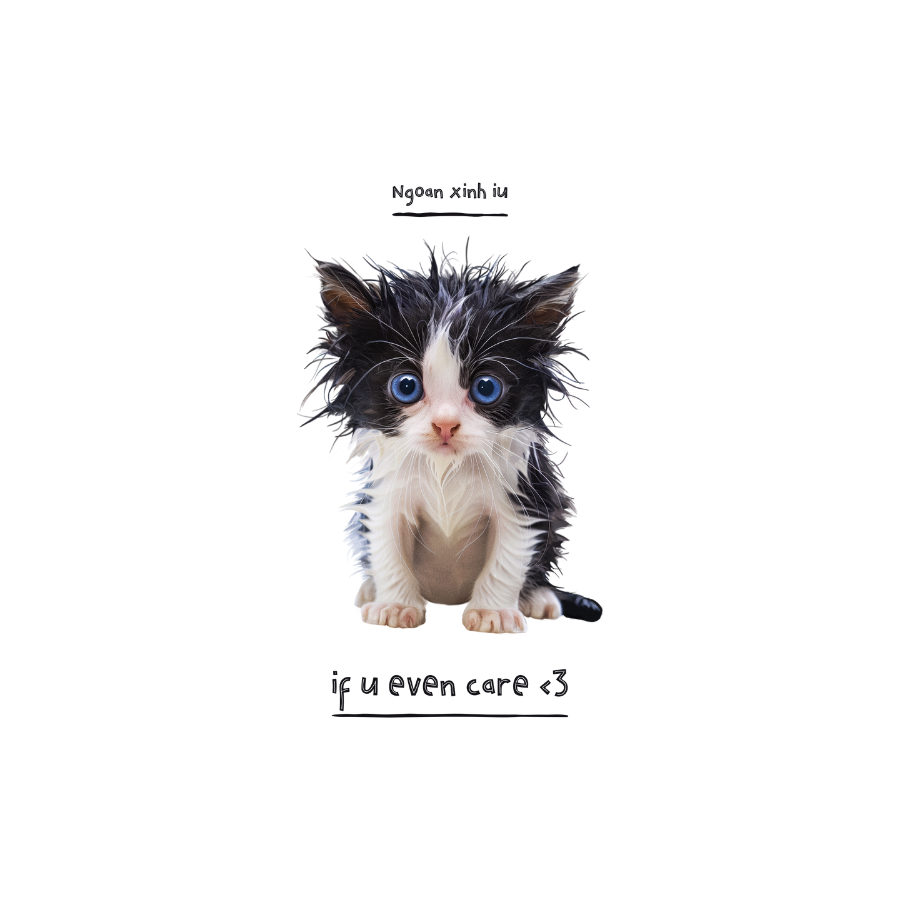 Áo Thun OVERSIZE Mèo Ướt Cute Siêu Đáng Yêu | Tự Thêm Slogan Vui Nhộn