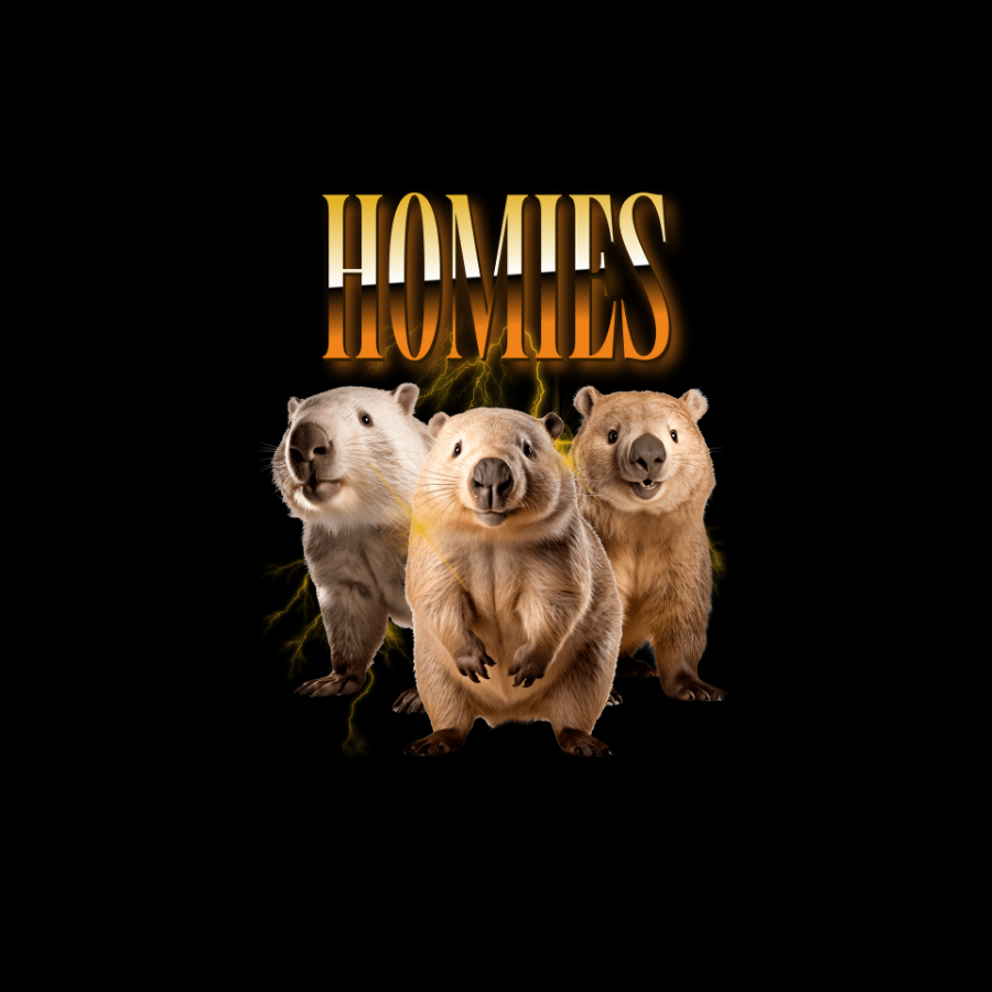 Áo thun wombat cá tính, hình ba chú wombat với hiệu ứng chữ Homies, tự thiết kế slogan hài hước.